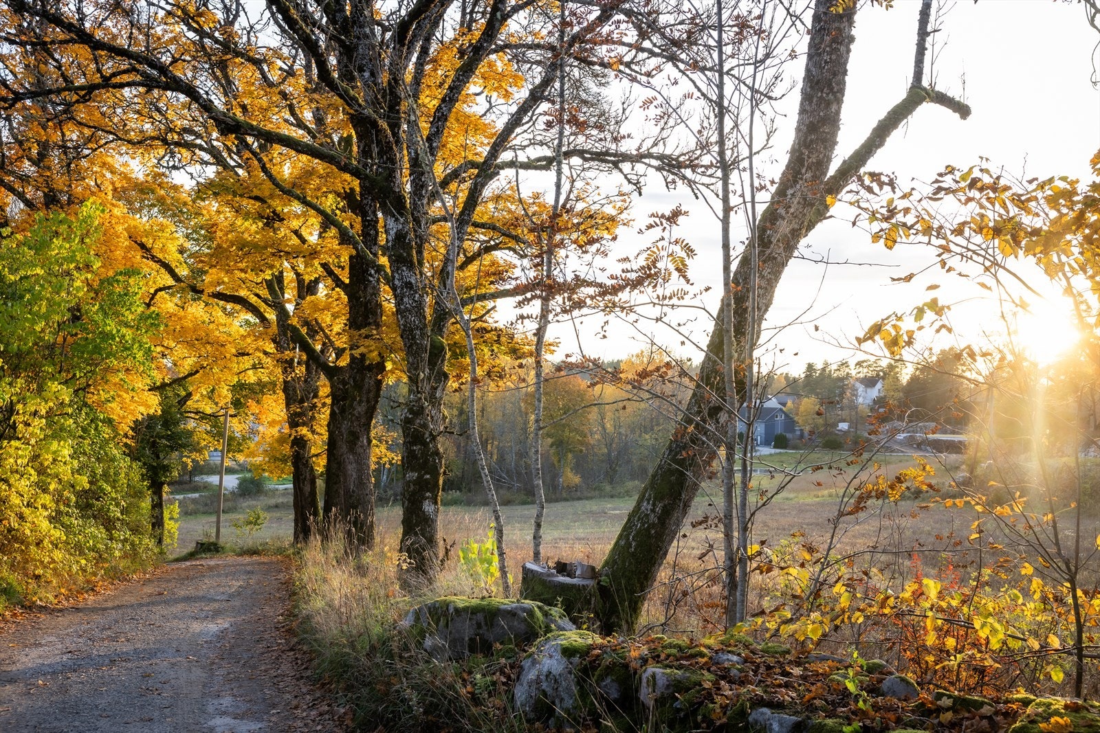 Området byr på umiddelbar nærhet til skog og mark med flotte turmuligheter. Galleribilde