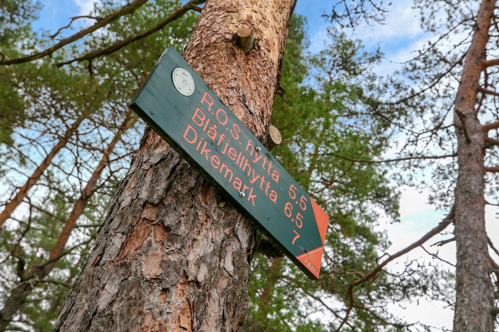 Turstier i Kjekstadmarka Galleribilde