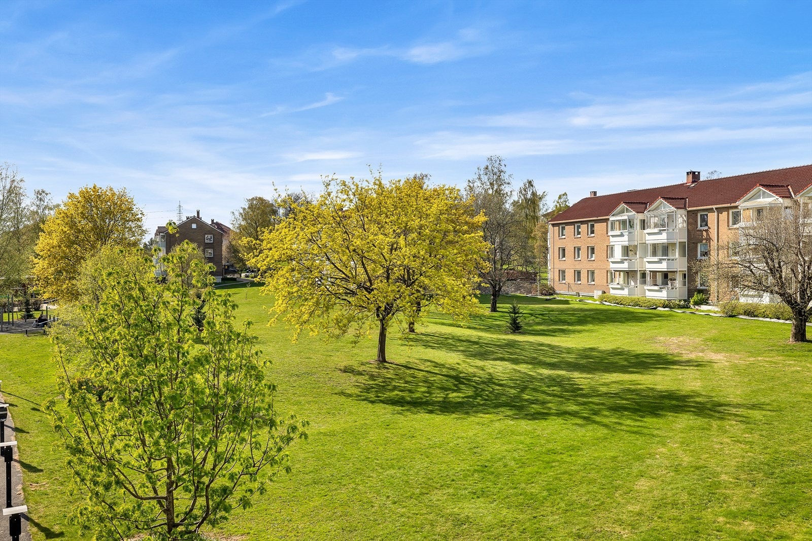 Grønt og frodig! Galleribilde