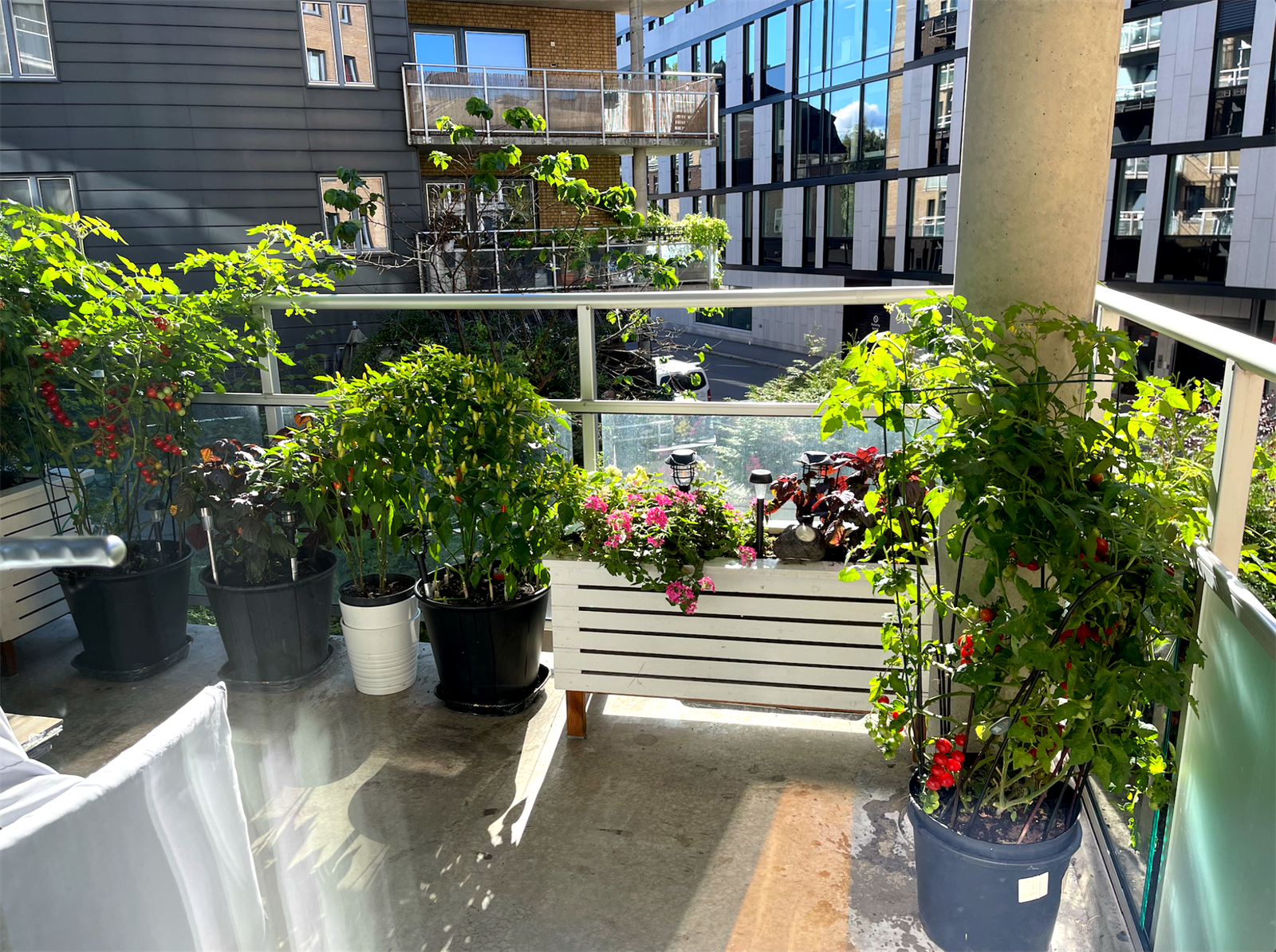 Selgers bilde Galleribilde