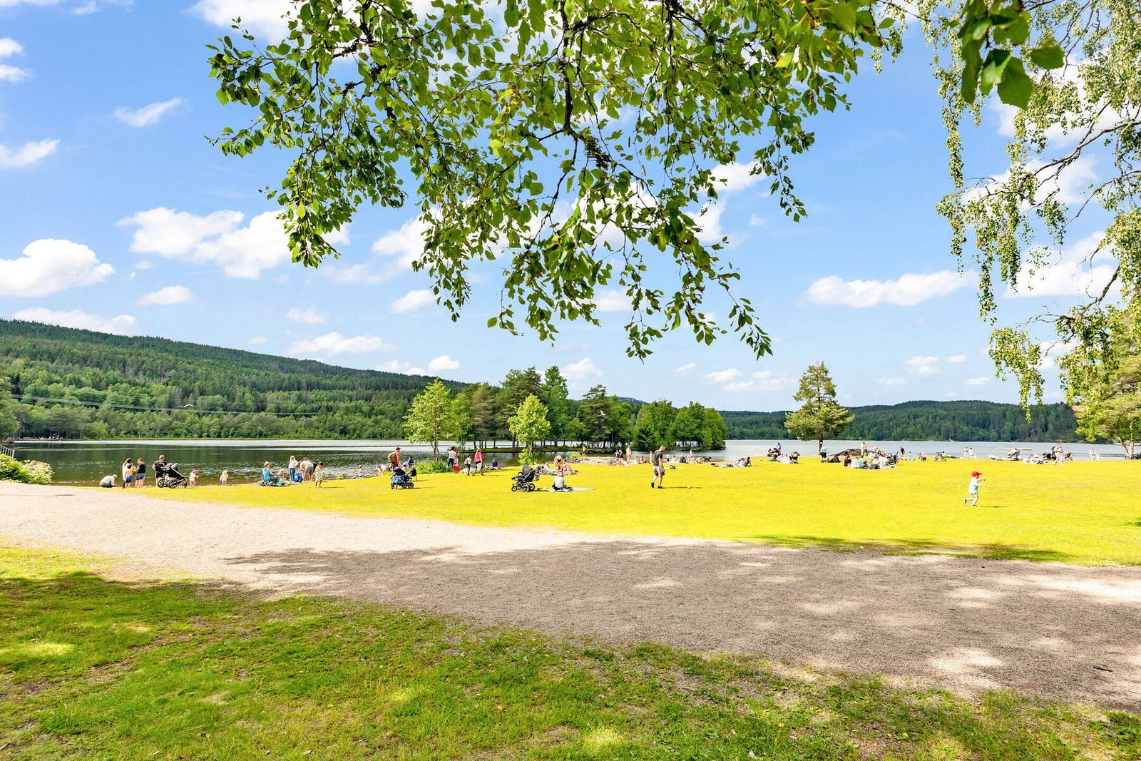 Her bor du med nærhet til Nordmarka, og idylliske Sognsvann ligger bare en kort spasertur unna - et perfekt utgangspunkt for turer, bading og rekreasjon året rundt. Galleribilde