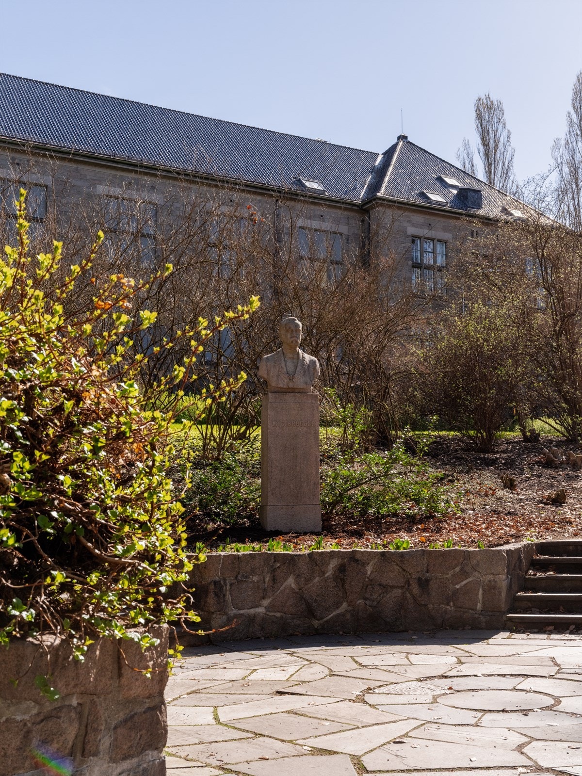 Botanisk hage. Galleribilde