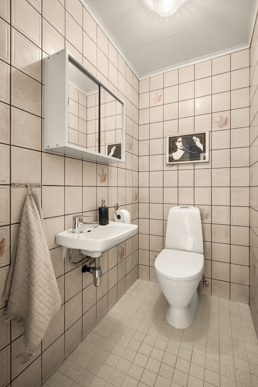 Praktisk, separat wc-rom, i tilknytning til entréen. Galleribilde