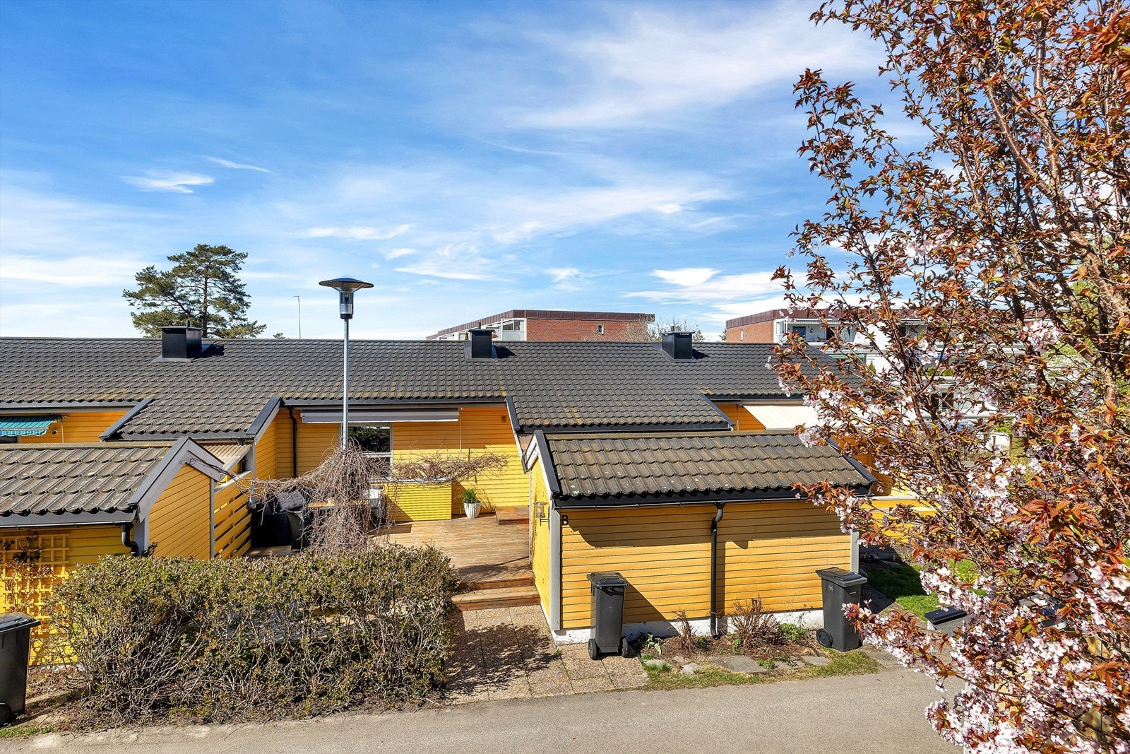Fasade. Galleribilde