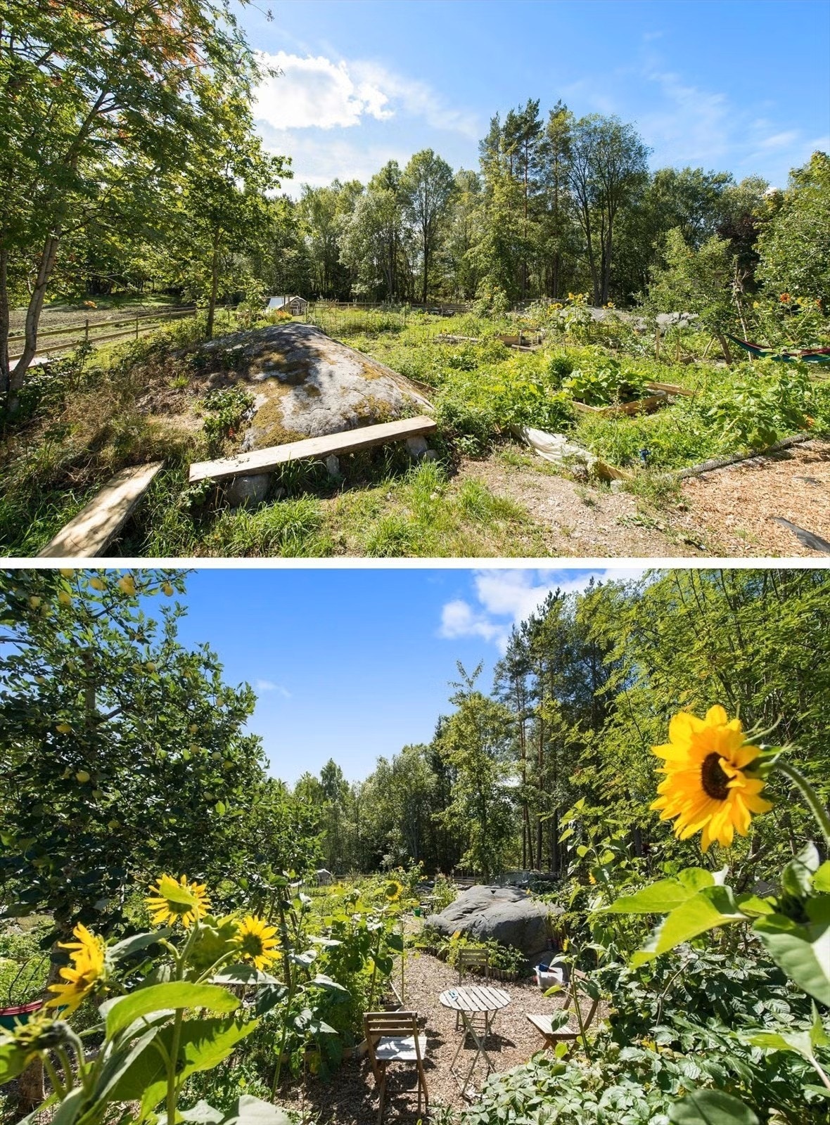 Idyllisk parselhage ved siden av innhegning med hester, til bruk for beboere av Rugdeberget og Nebbejordet Galleribilde