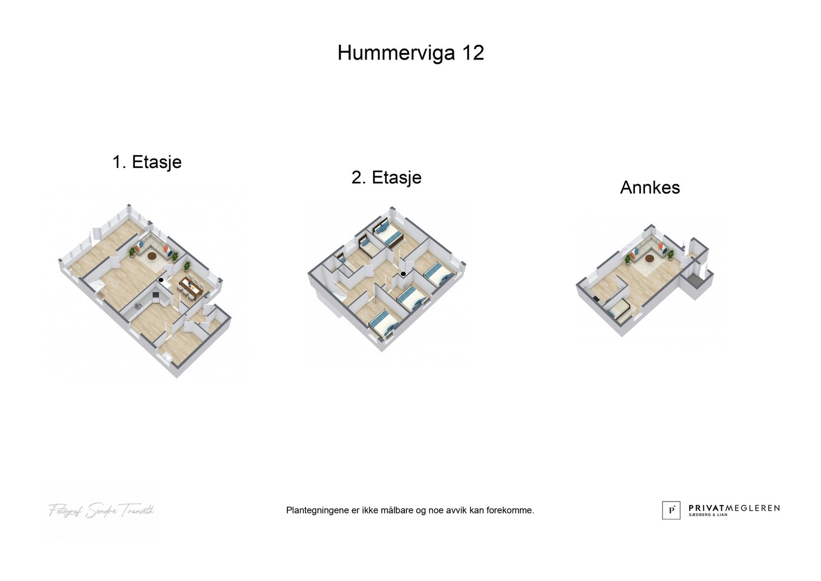 3D plantegninger begge hyttene - laget av fotograf Galleribilde