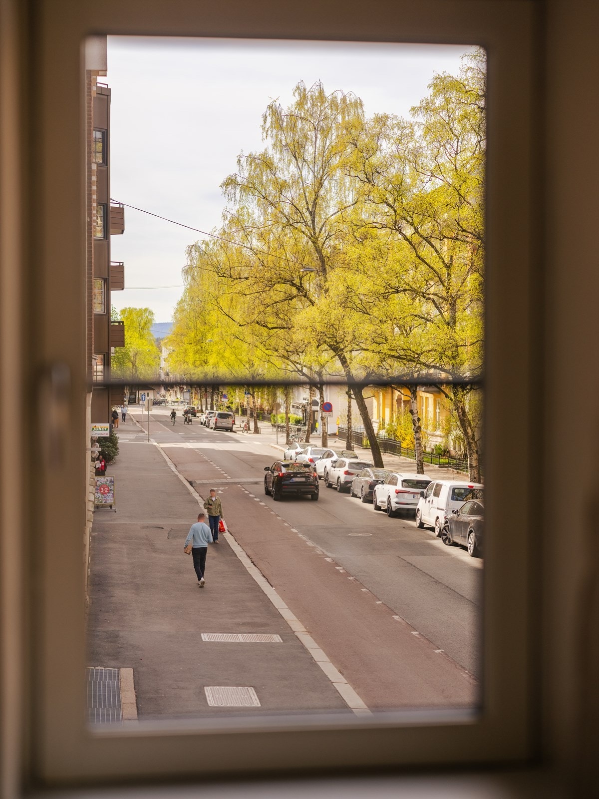 Fra vinduene ser man ut mot Elisenbergveien, en rolig gate i hjertet av Frogner. Galleribilde