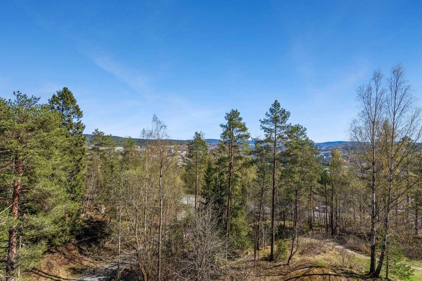 Å bo på Romsås er som å bo ved døren til marka, Lillomarka er nærmeste nabo. Galleribilde