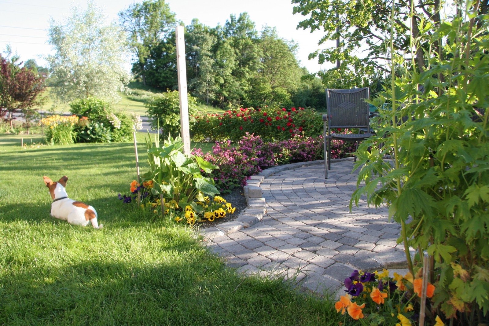 Frodig gressplen og pent opparbeidet hage (selgers eget bilde fra 2009). Galleribilde
