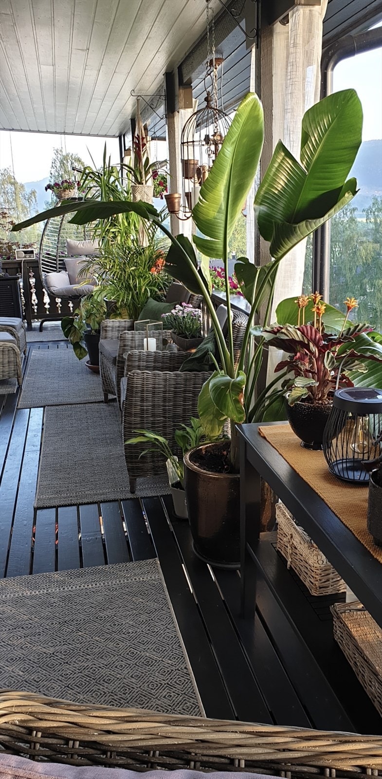 Selgers egne bilder av terrassen. Galleribilde