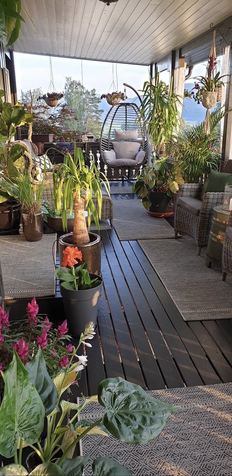 Selgers egne bilder av terrassen. Galleribilde