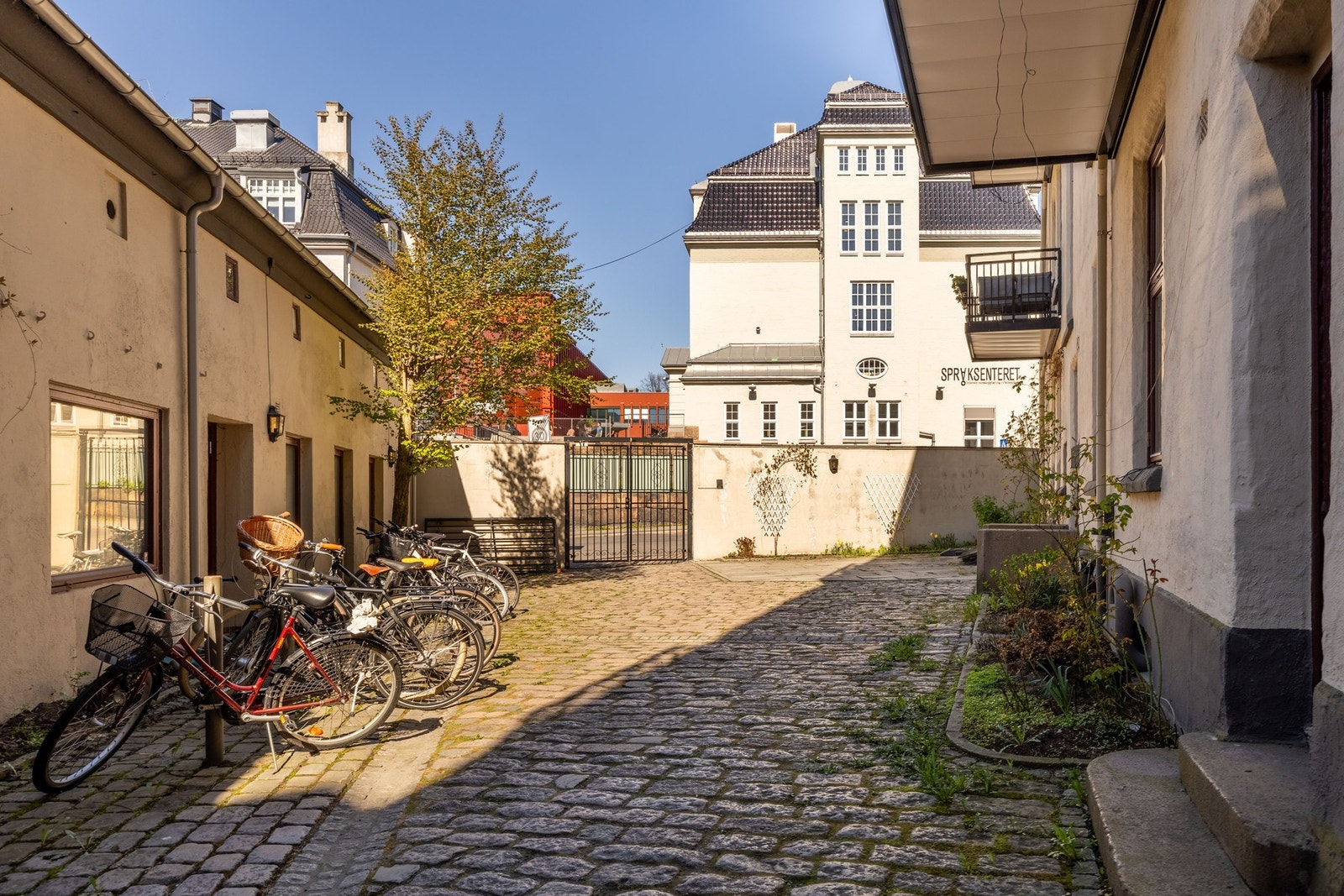 Bakgården er nydelig om sommeren med bognende blomster, grill og stort langbord. Galleribilde
