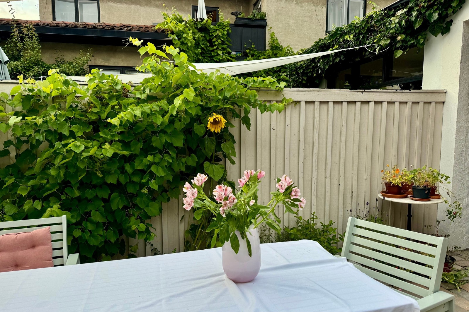 Inngjerdet bakgård Galleribilde