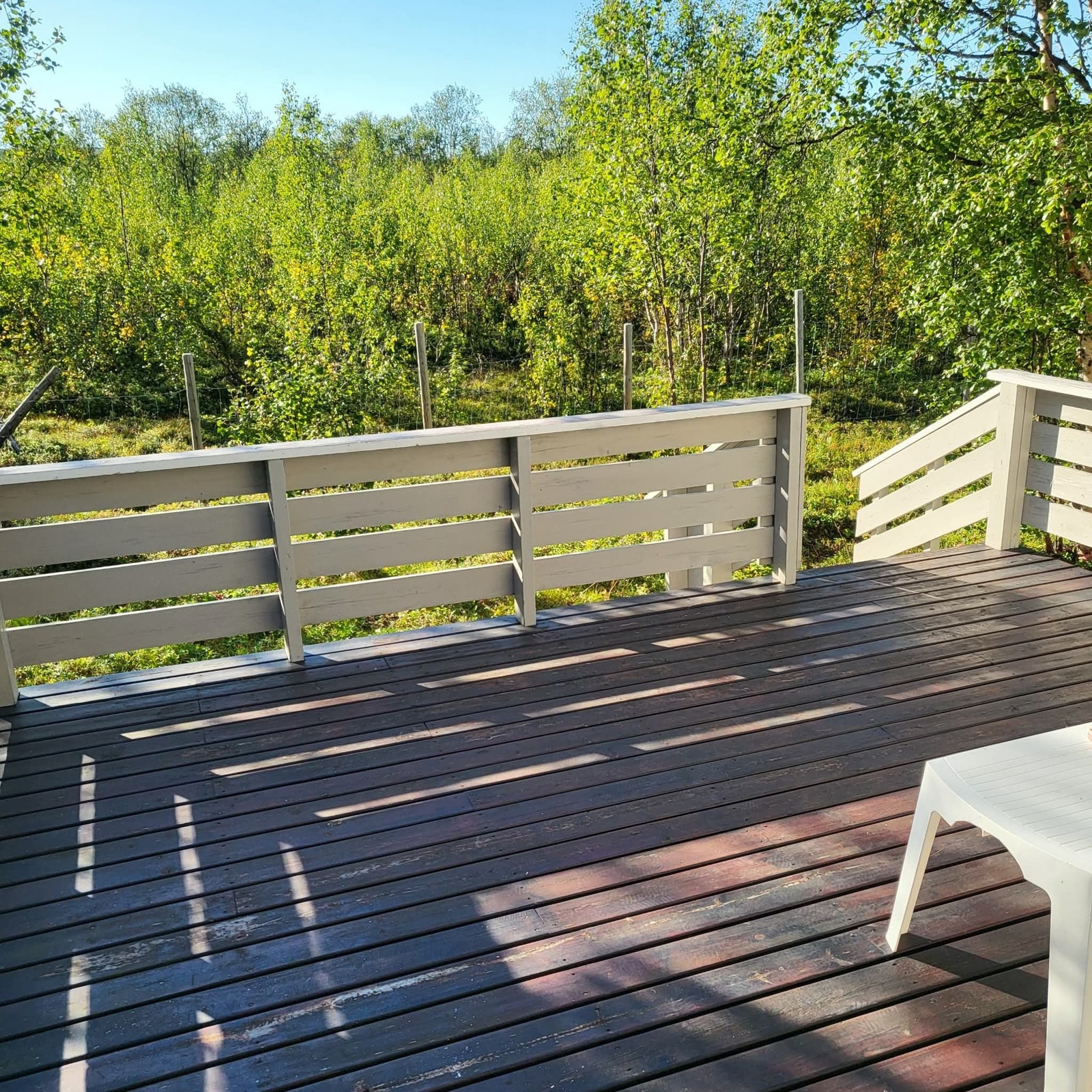 Veranda - Bakside Galleribilde