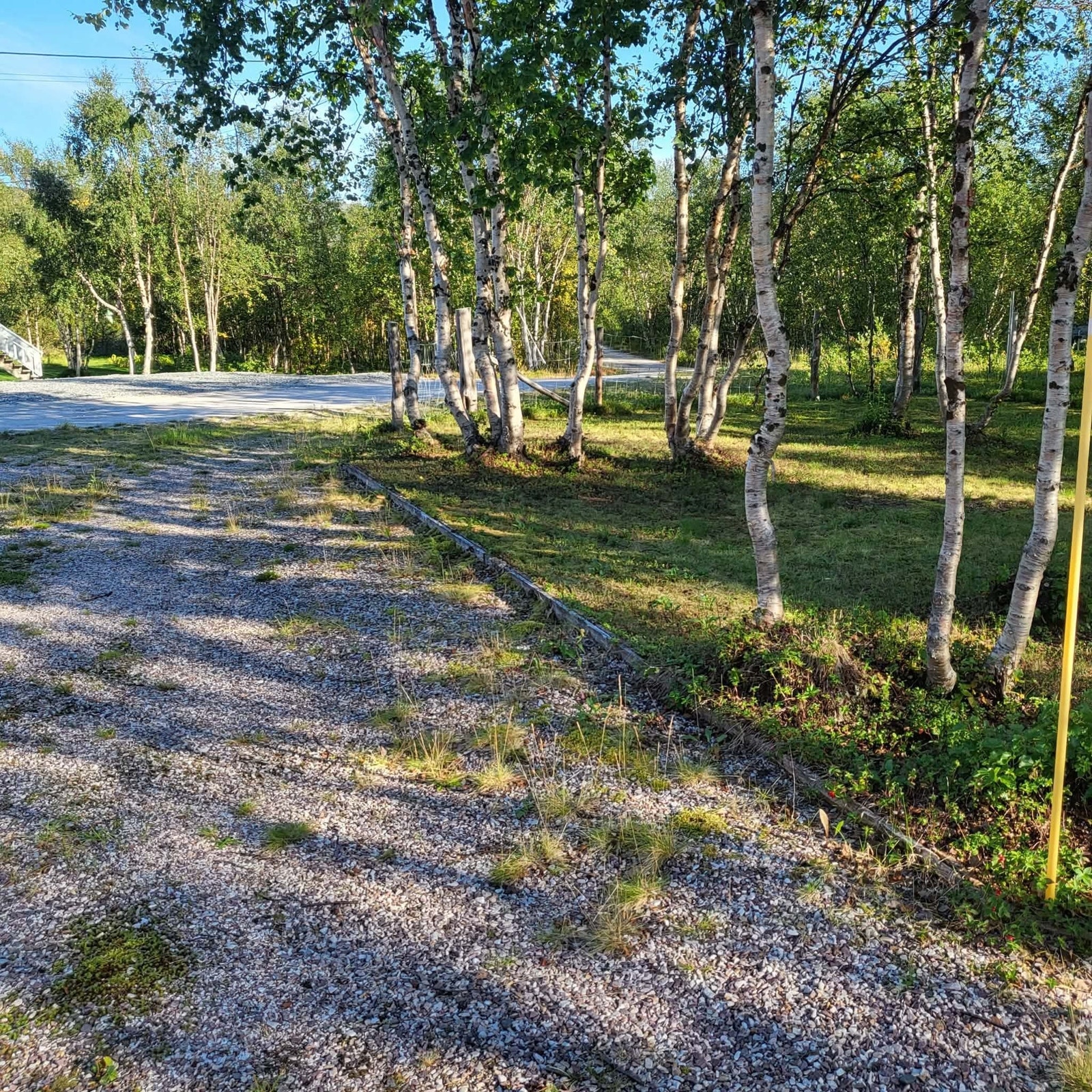 Innkjørsel Galleribilde