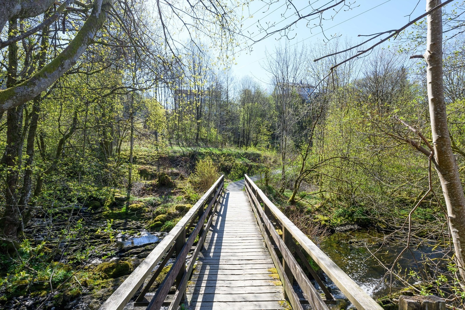 Området byr på flere koselige turveier og områder. Galleribilde