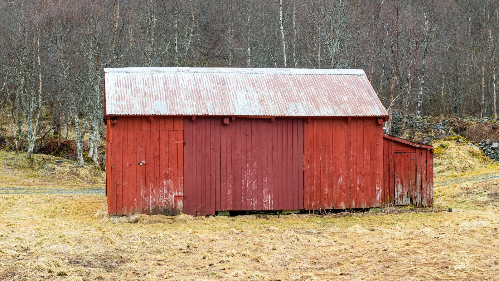 Sommerfjøs Galleribilde