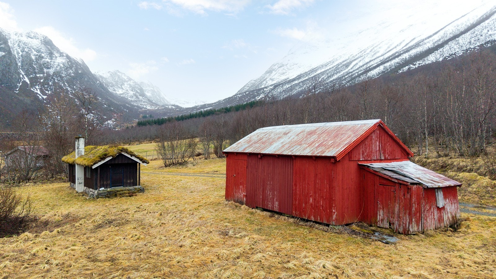 Sommerfjør og jakthytte Galleribilde