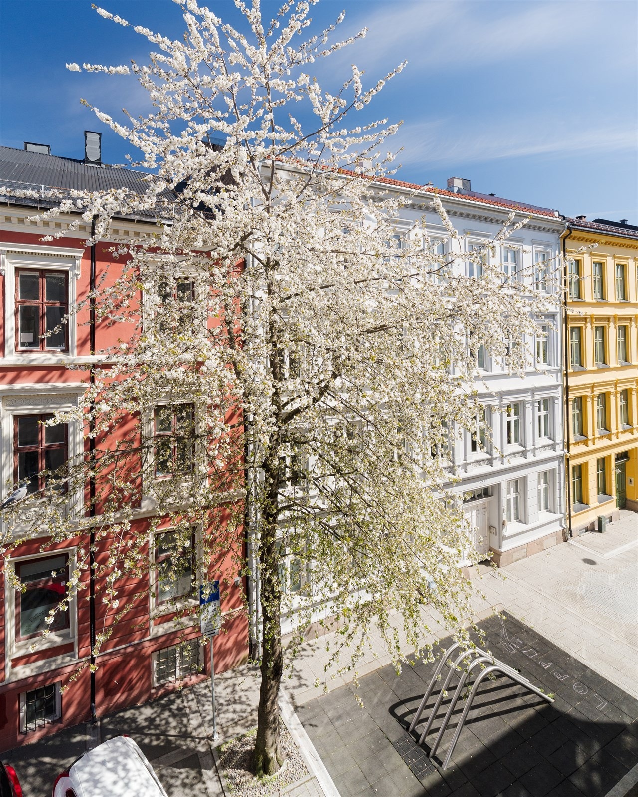 Nydelig utsyn fra stuen. Galleribilde
