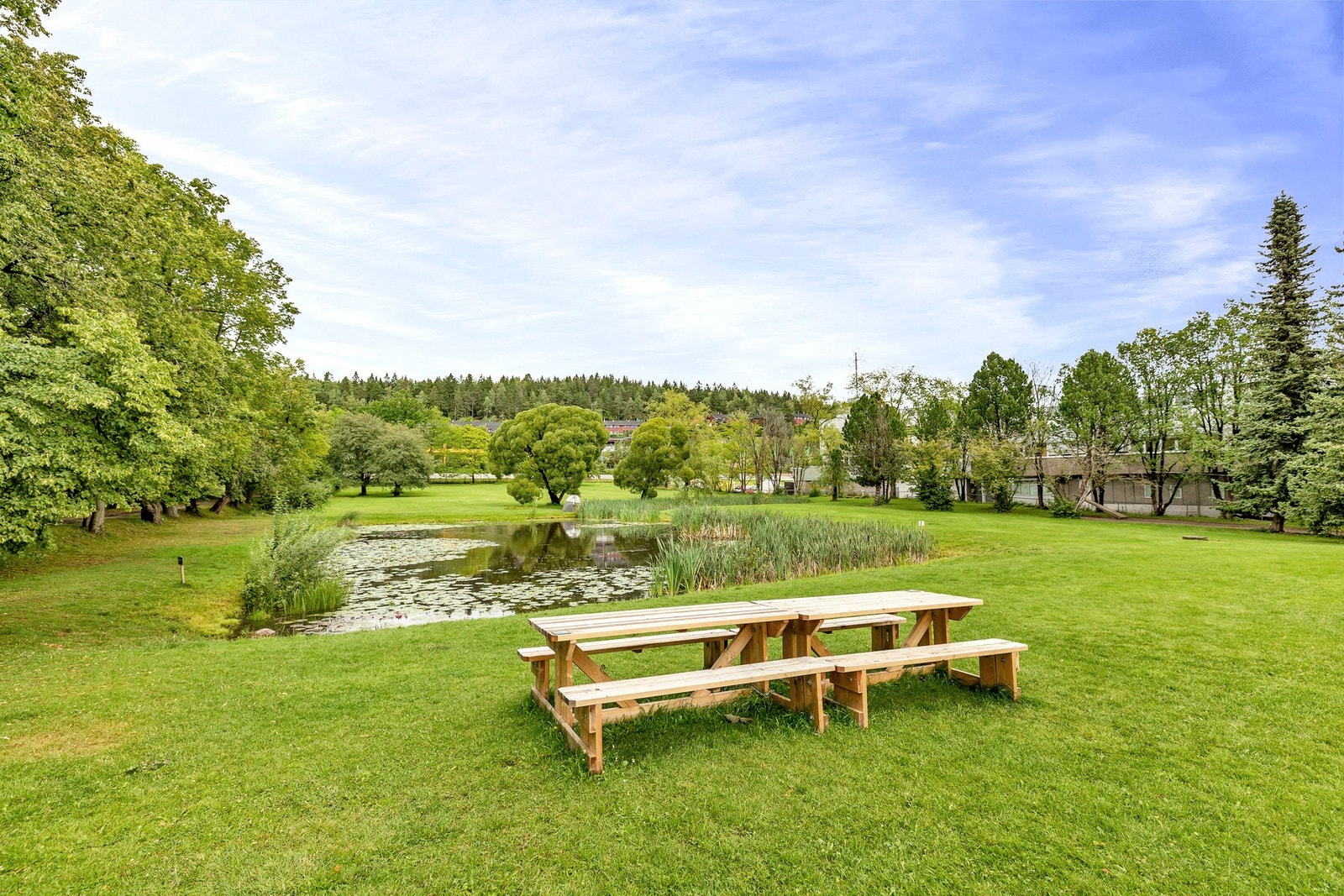 Liten og hyggelig park i nærområdet. Galleribilde