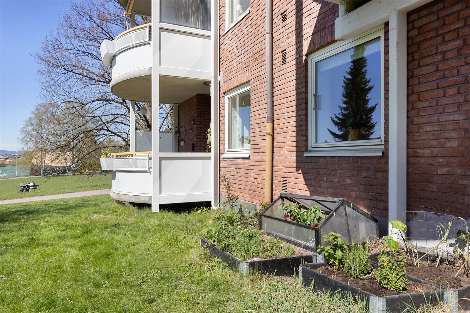 Noe av det vi har satt aller mest pris på ved å bo her, er den lille kjøkkenhagen vår rett utenfor vinduet. Vi startet prosjektet da vi flyttet inn i 2017 med å plante ut jordbærene våre, og siden har det bare vokst. Galleribilde
