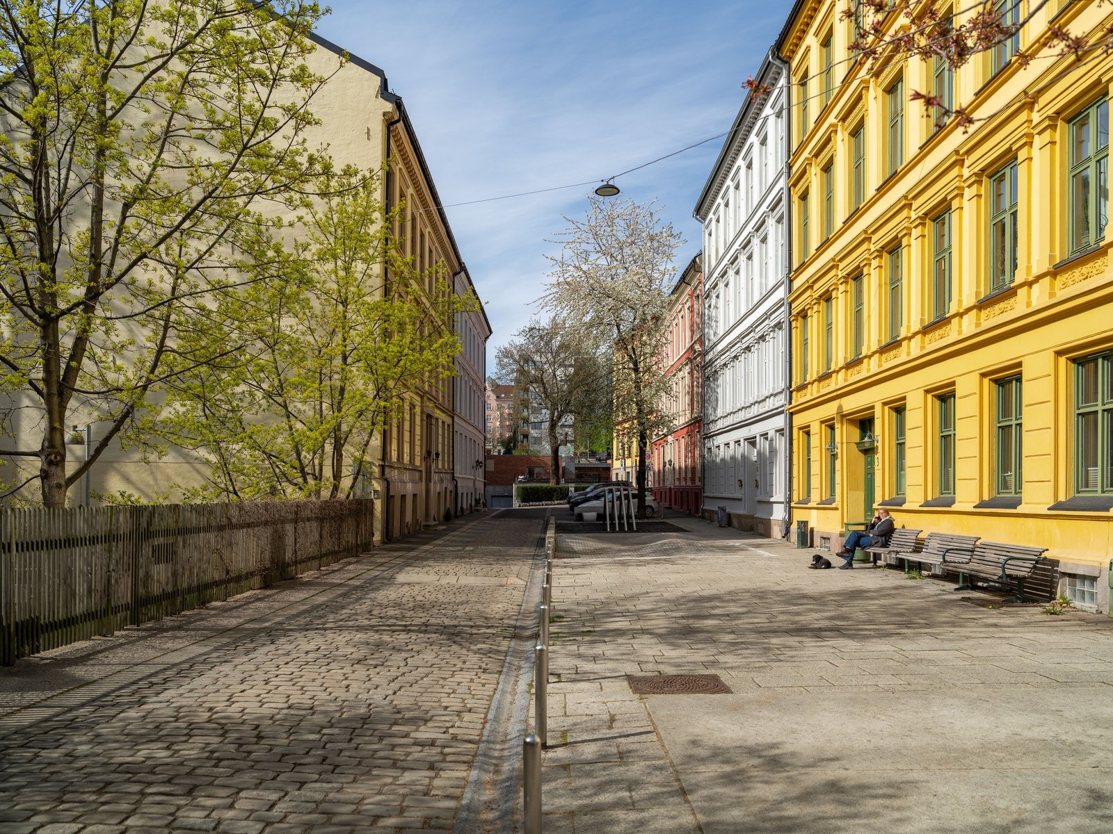 Zetlitz´ gate er en bilfri og rolig miljøgate, lagt med klassisk brostein og store kirsebærtrær. Gaten omfavnes av nydelige bygårder fra seint 1800 og tidlig 1900-talls arkitektur! Galleribilde