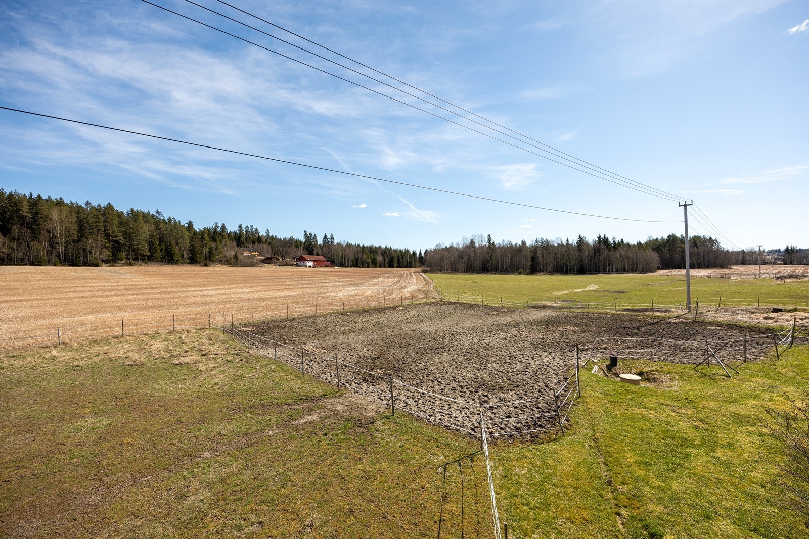 Deler av arealet bak uthuset er benyttet som utegangsområde for hest. Galleribilde