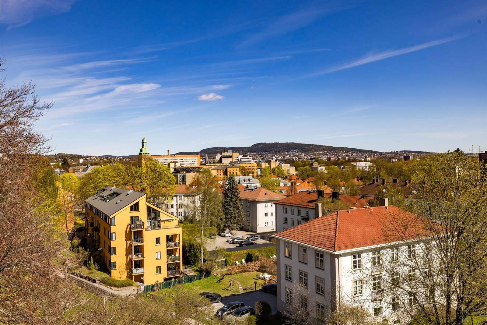 Utsyn mot etablert boligområde, trekroner og bymessige omgivelser Galleribilde