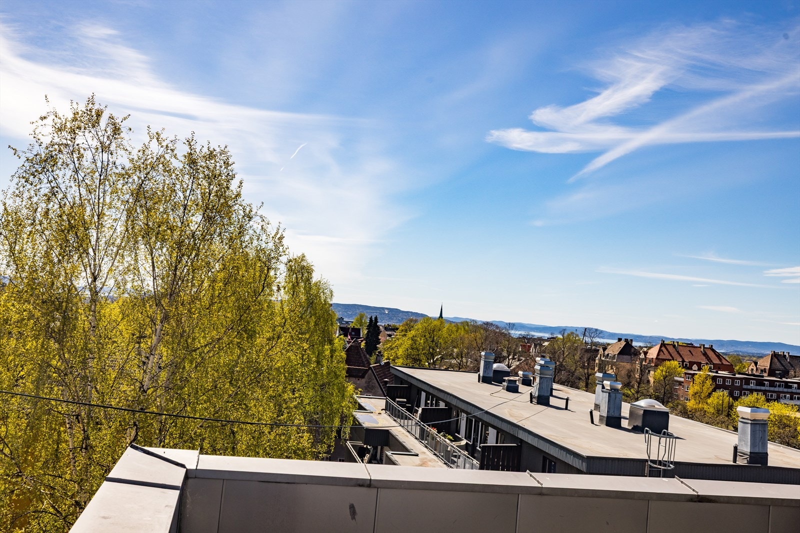 Utsyn over nærområdet med grønne trekroner, lavere bebyggelse og god himmelkontakt Galleribilde