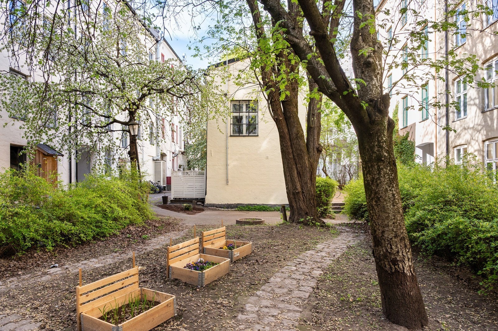 Den felles bakgården i kvartalet har blant annet sykkelparkering, sittegrupper og beplantning. Galleribilde
