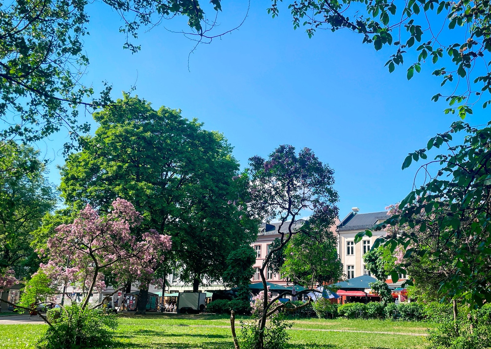 Olaf Ryes plass. Galleribilde