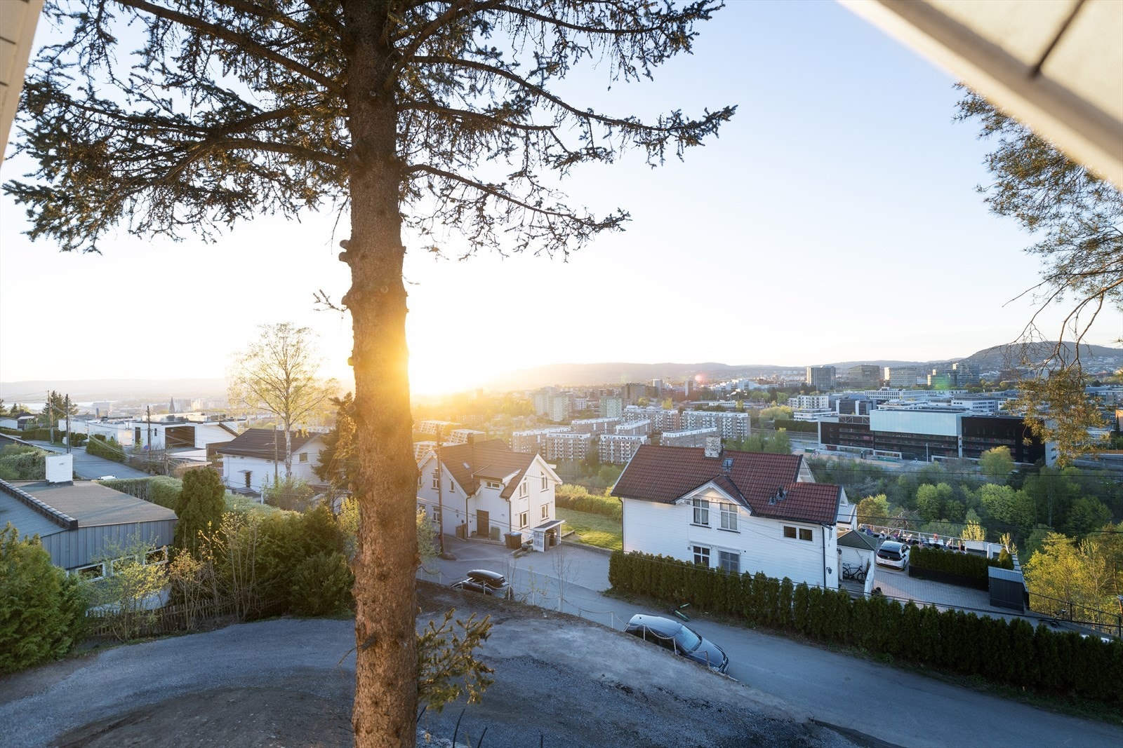 Kveldstemning Galleribilde