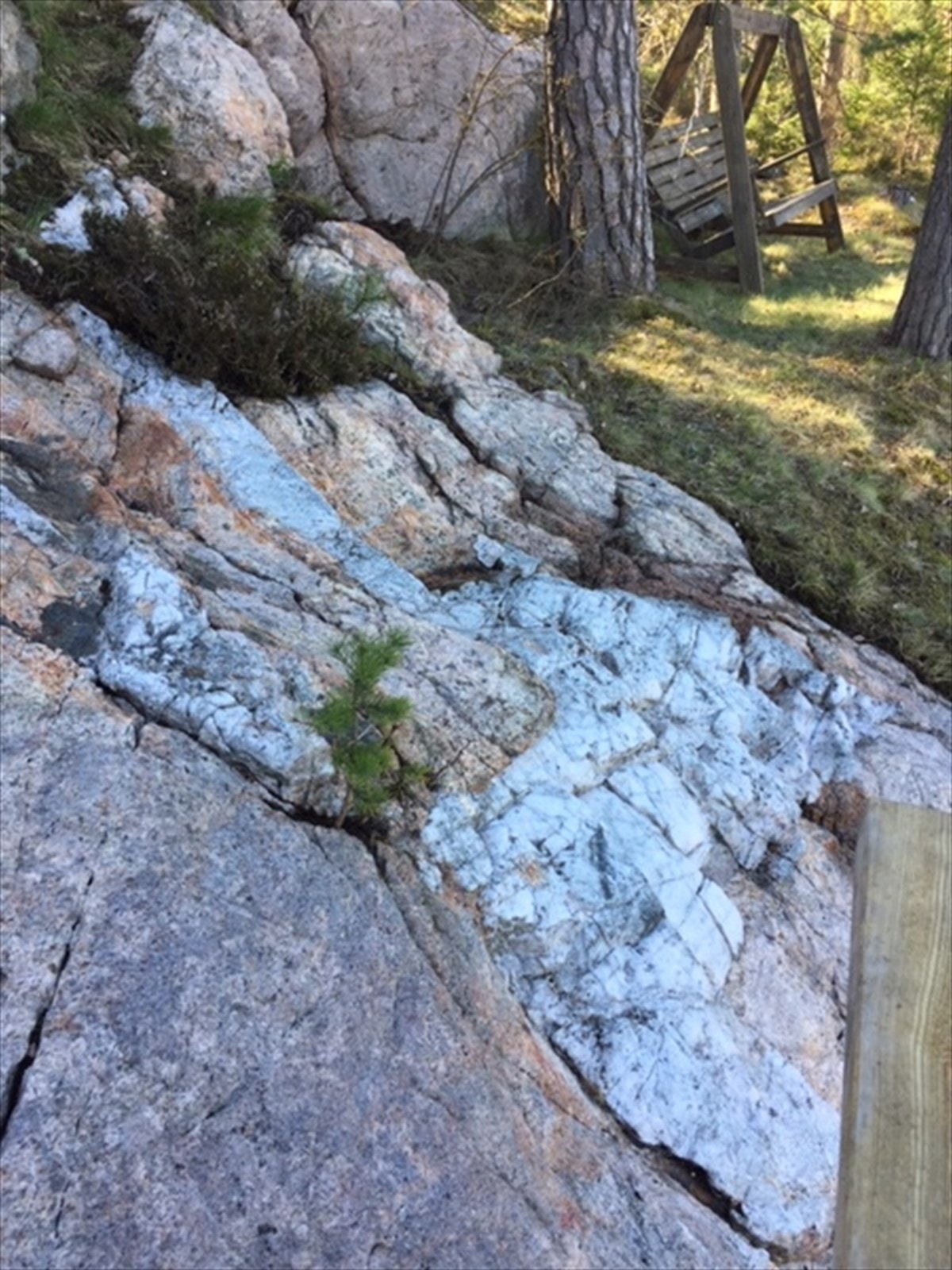 Fjellsiden har rosa gneis med åre av hvit kvarts. Galleribilde