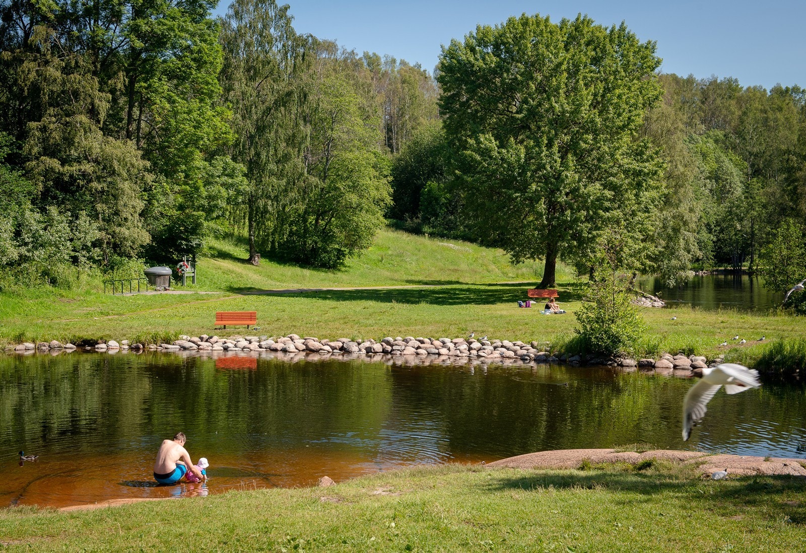 Det er flere flotte badeplasser i nærheten med blant annet Brekkedammen og Stilla med populære friområder og idylliske badeplasser. Galleribilde