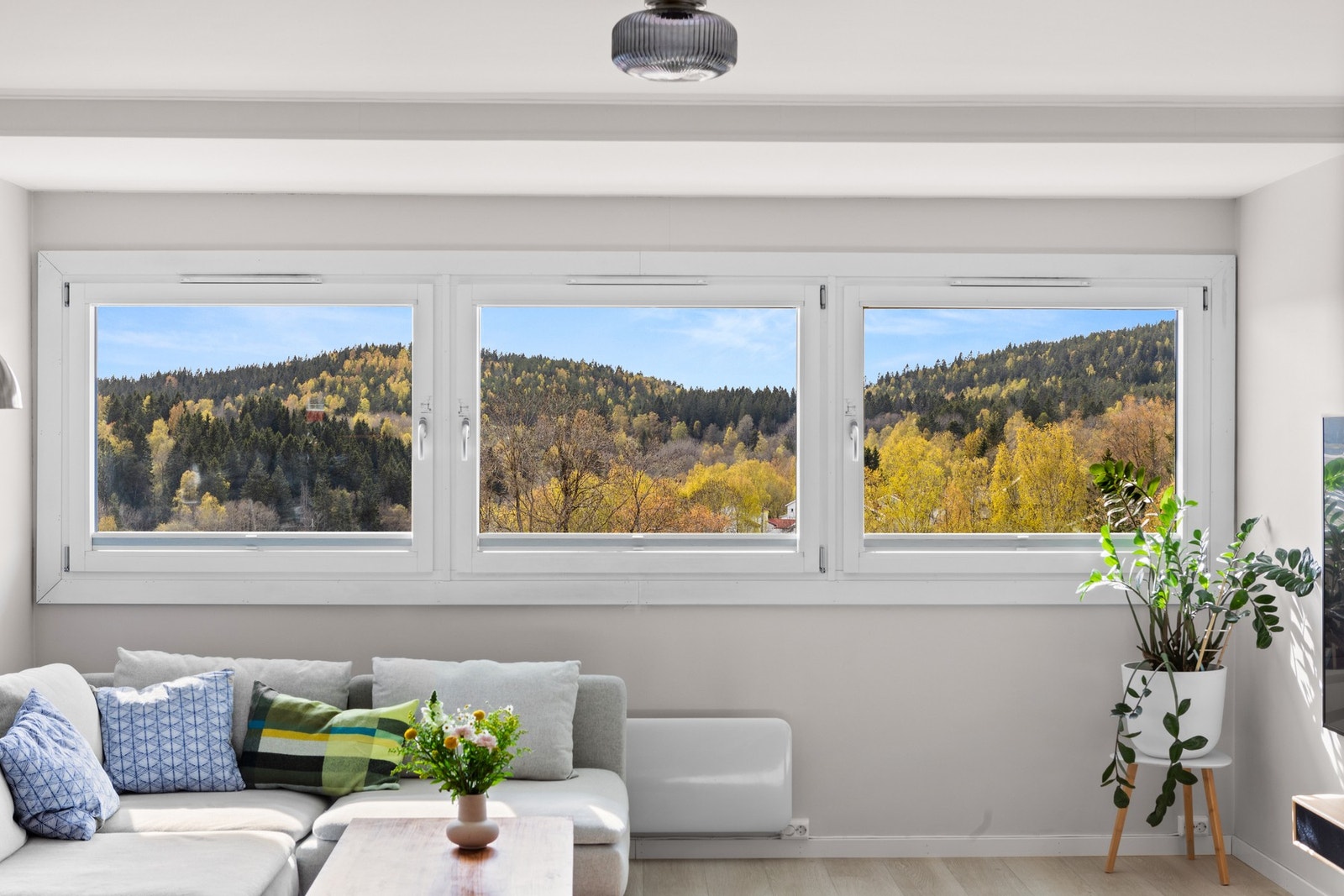 Store vindusflater slipper inn rikelig med dagslys Galleribilde