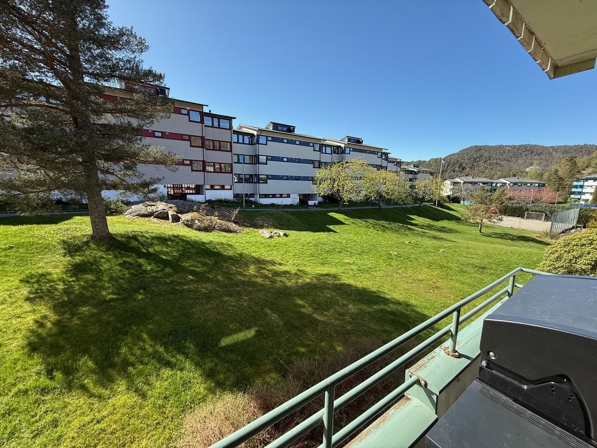 Felles hageområde Galleribilde