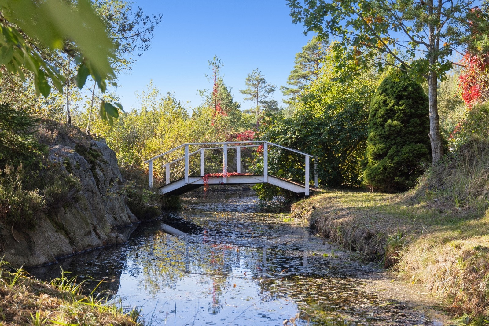 Fabelaktig hage - her kan du gå kveldstur på egen tomt... Galleribilde