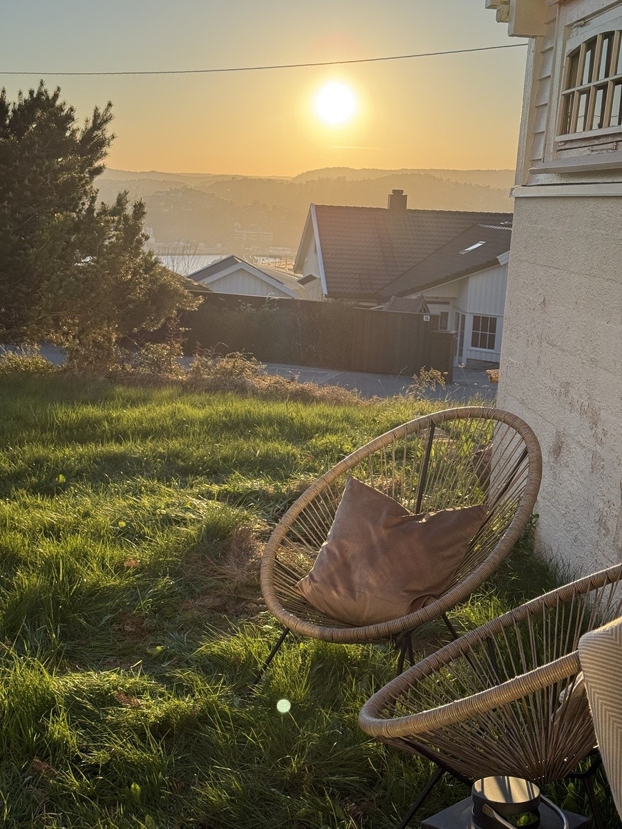 Hage med solnedgang Galleribilde