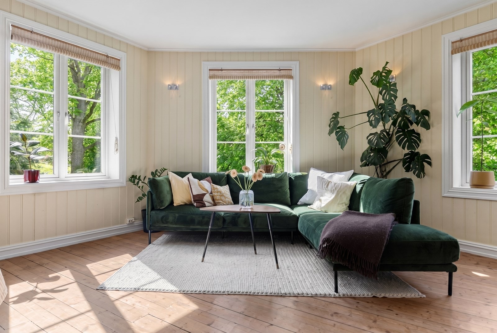 Store vinduer fra to sider lar sollyset strømme inn, og naboen Botanisk hage skaper en fredelig og grønn utsikt. Mengden grønt utenfor i sommerhalvåret, minimerer innsyn i leiligheten. Galleribilde