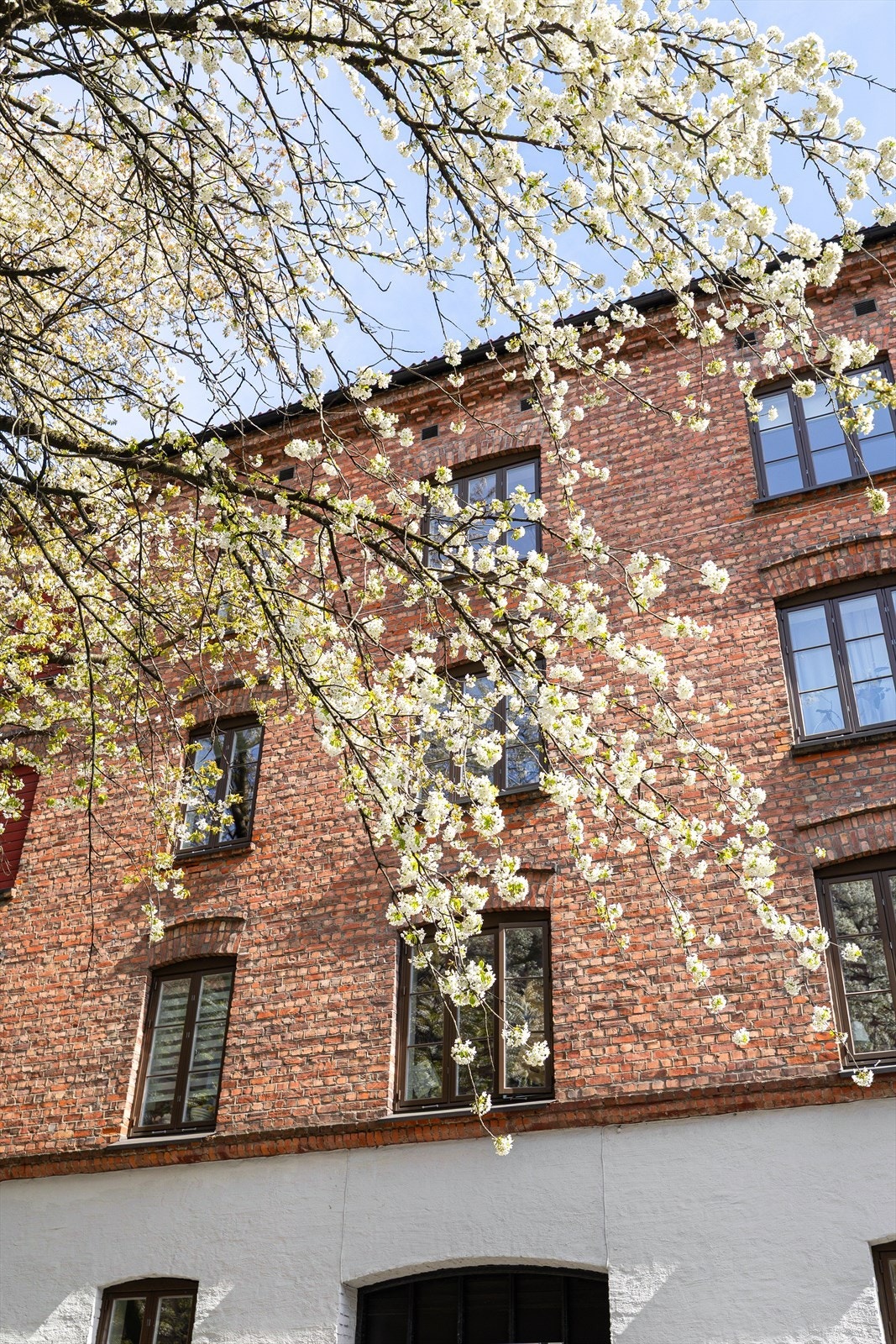 Fasade. Galleribilde