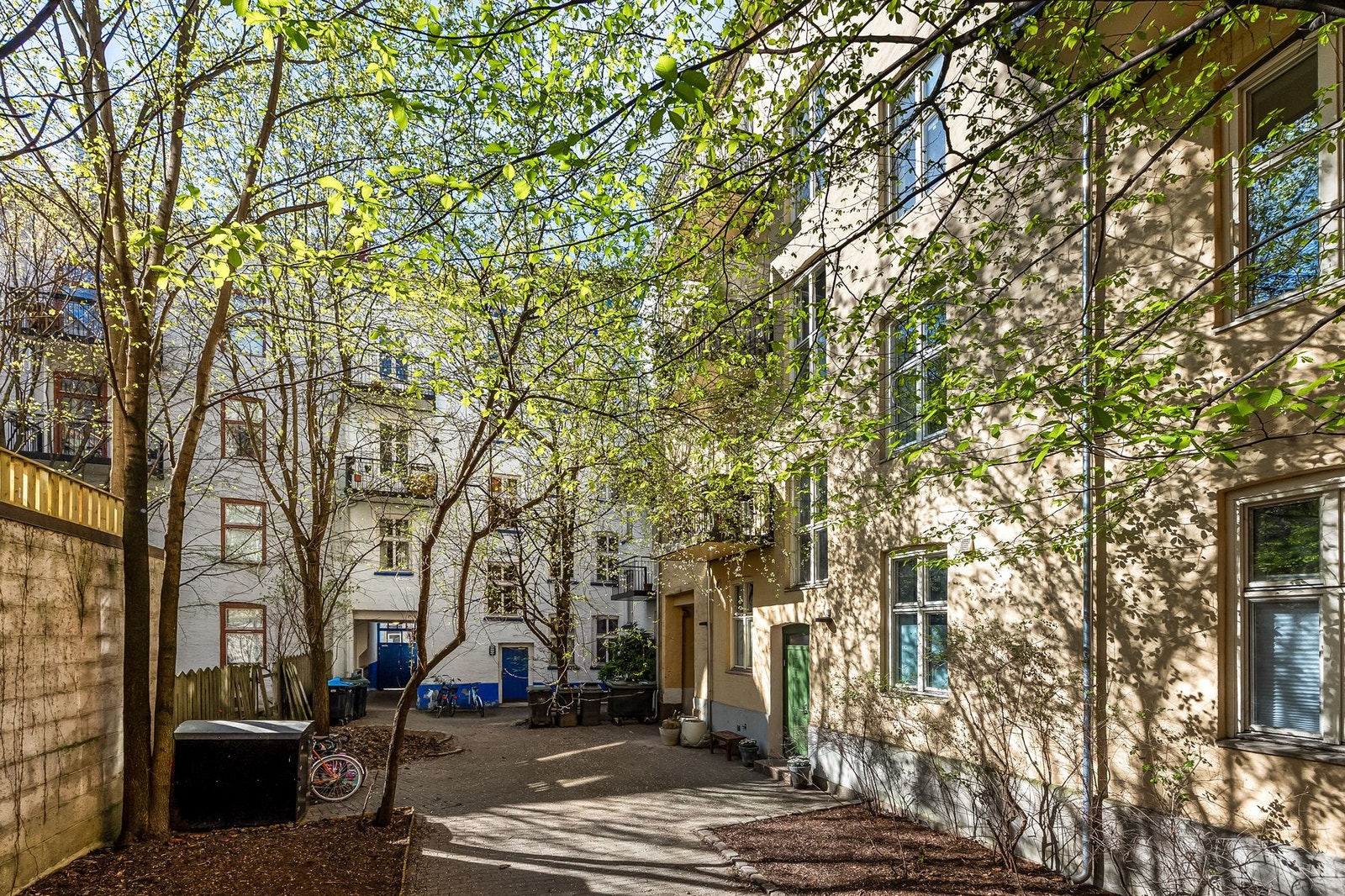 Frodig og koselig bakgård Galleribilde