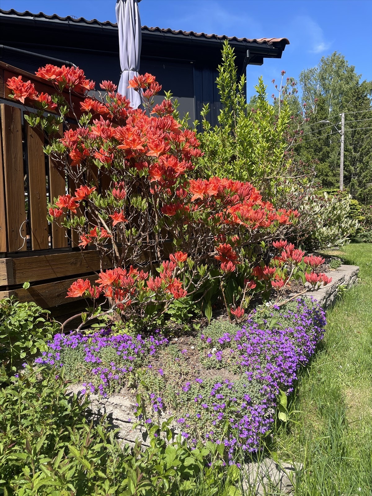 Et av mange fargerike beplantninger som omkranser eiendommen. (Privat sommerbilde.) Galleribilde
