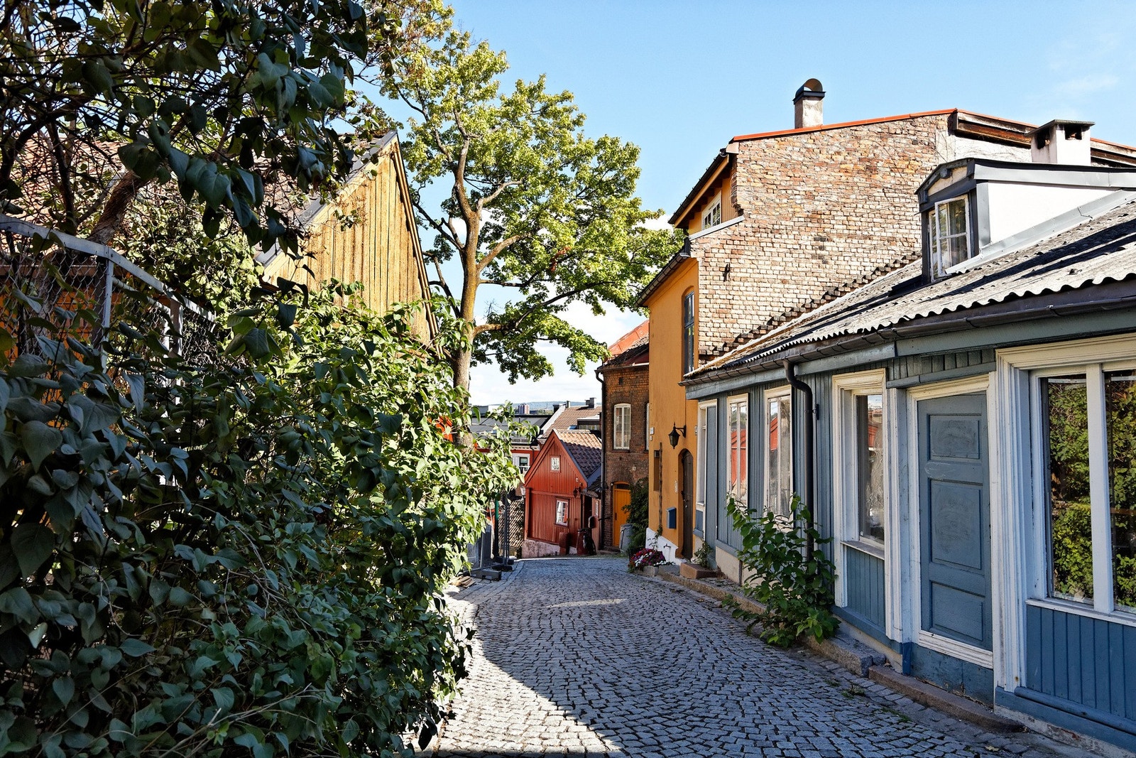 Fredensborg er et ettertraktet område som i hovedsak består av eldre klassiske bygårder fra årene 1870-1900. Galleribilde