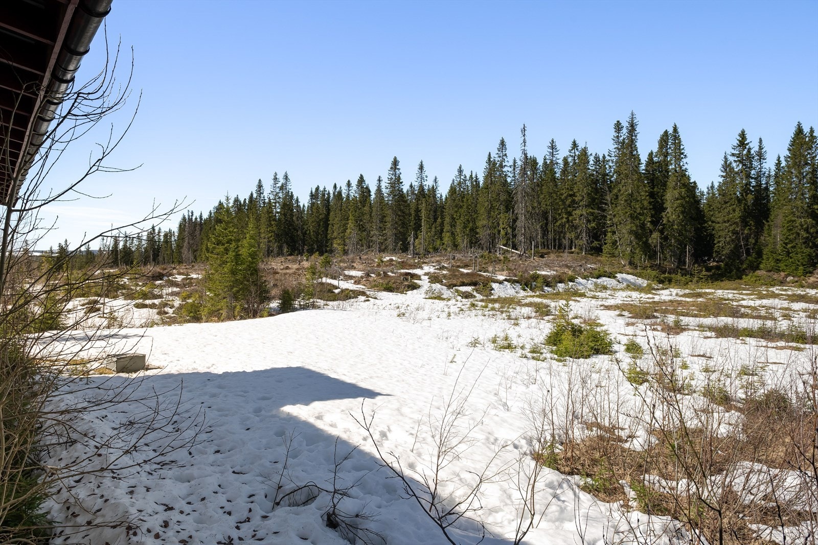Eiertomt på ca. 123 743,9 m². Tunet er opparbeidet med plen, beplantninger og frukt-/bær som bla. jordbær, rips, solbær, epletre. Galleribilde