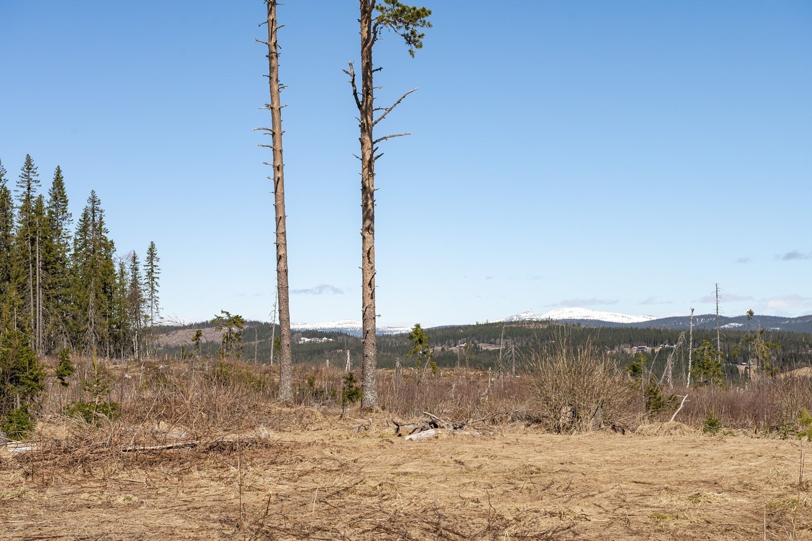 Eiendommen ligger høyt i terrenget, i et åpent, sørvendt område med gode solforhold og fin utsikt! Galleribilde