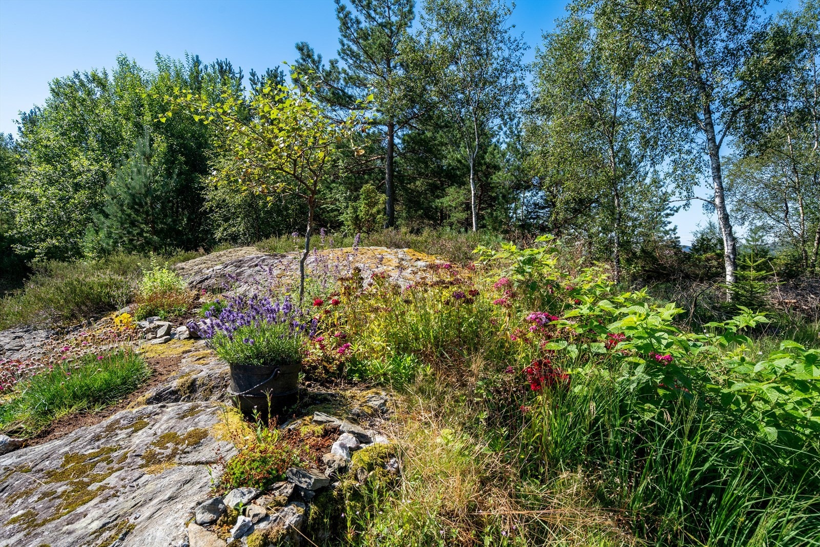 Uteområdet grenser til en naturtomt, som gir en følelse av å ha naturen tett på. Galleribilde
