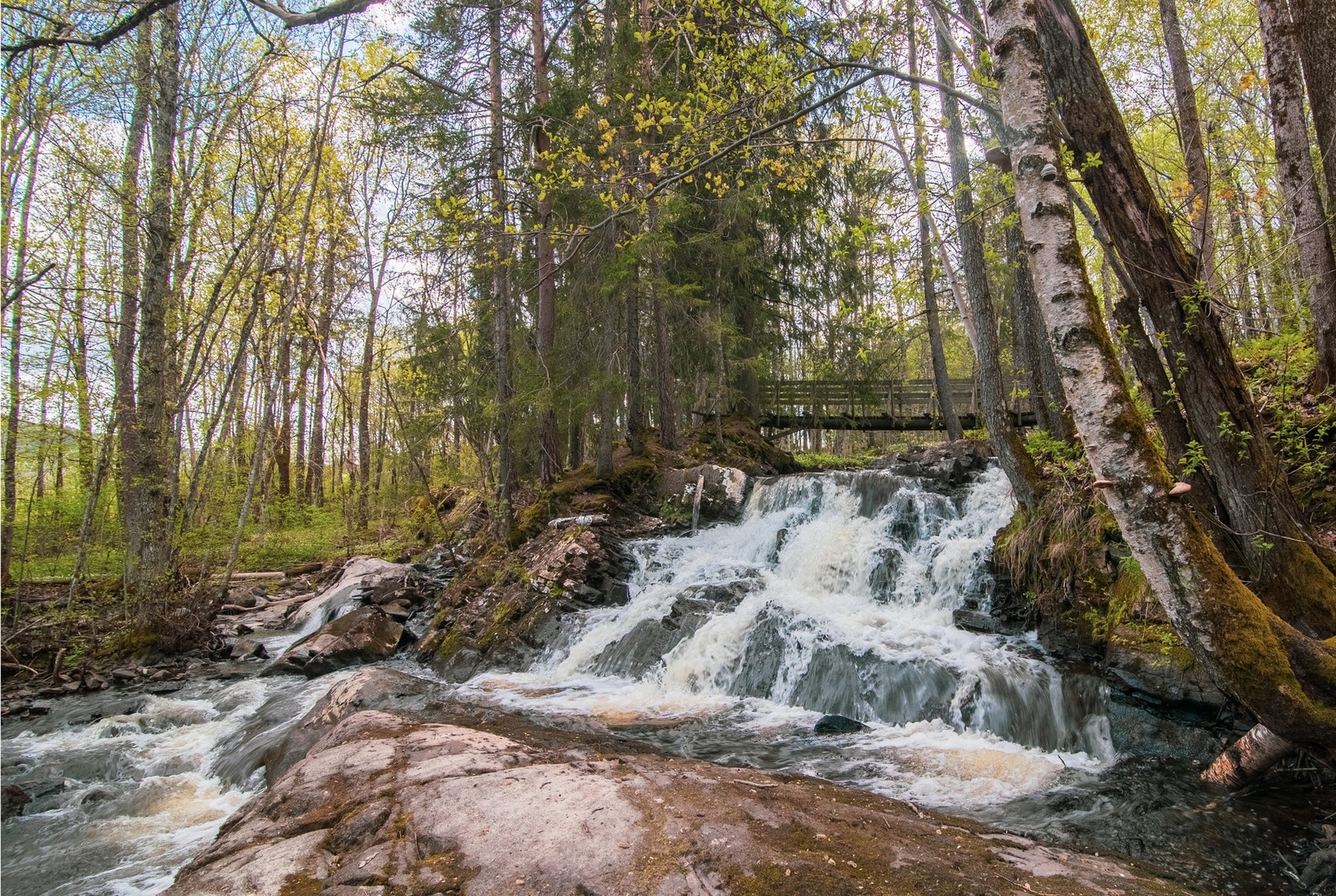 Turområdene på Darbu er mange. Fiskumelva starter ved Lurdalen og er 12 km lang, med flere idylliske fossefall, før den ender i Fiskumvannet. Her kan du gå turer til blant annet Prestøya og Fiskum gamle kirke. Galleribilde