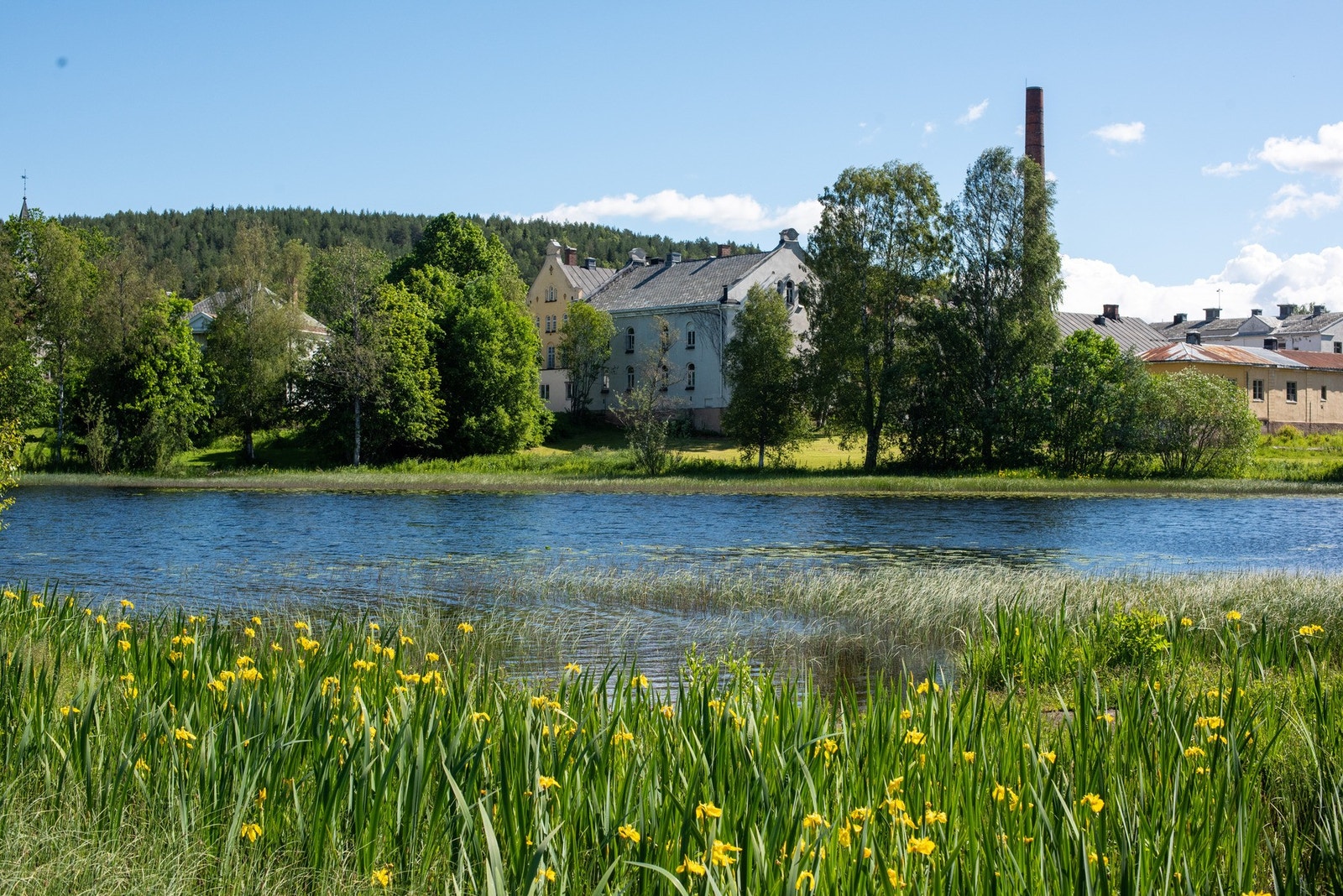 Dikemark byr på flotte turmuligheter sommerstid. Galleribilde