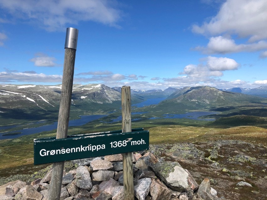Grønsennknippa er en fint turmål i området Galleribilde