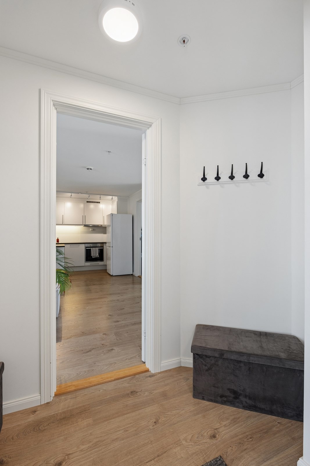 Vindfanget leder inn til leilighetens oppholdsrom. Hele boligen er praktisk utformet med alt på én flate. Galleribilde